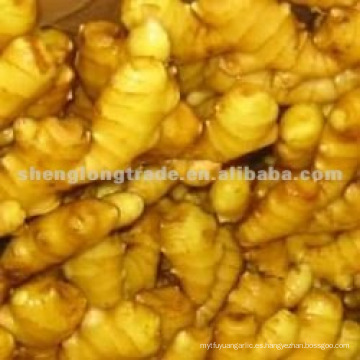 Chinese Fresh Gingger (precio competitivo)